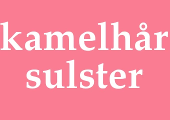 Synonym kamelhårsulster