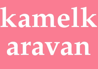 Synonym kamelkaravan