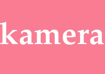 Synonym kamera