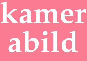 Synonym kamerabild