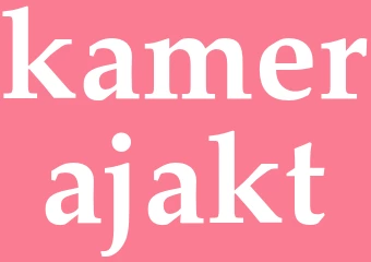 Synonym kamerajakt