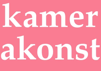 Synonym kamerakonst