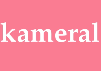 Synonym kameral