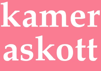 Synonym kameraskott