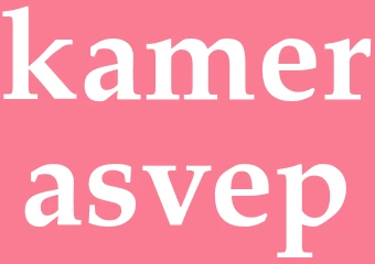 Synonym kamerasvep