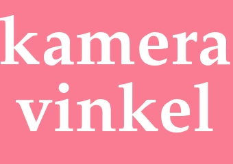Synonym kameravinkel