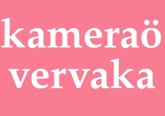 Synonym kameraövervaka