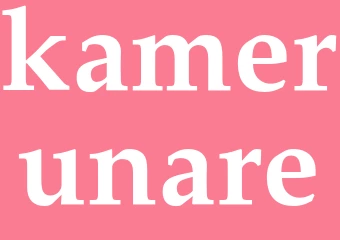 Synonym kamerunare
