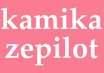 Synonym kamikazepilot