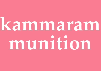 Synonym kammarammunition