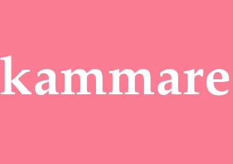 Synonym kammare