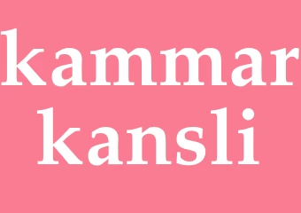 Synonym kammarkansli