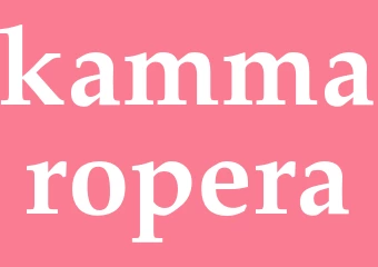 Synonym kammaropera