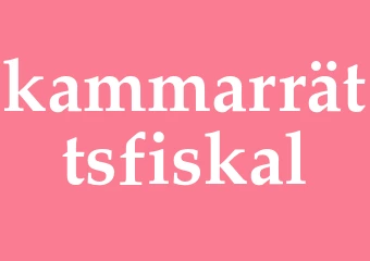 Synonym kammarrättsfiskal