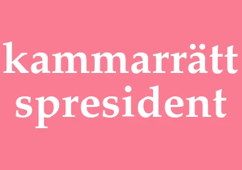 Synonym kammarrättspresident