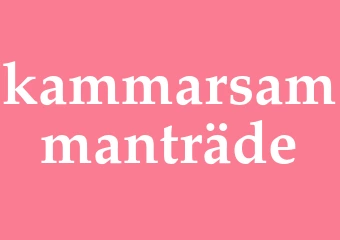 Synonym kammarsammanträde