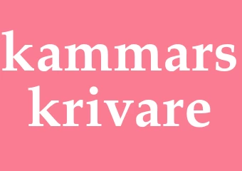 Synonym kammarskrivare