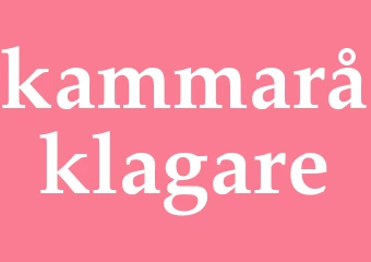 Synonym kammaråklagare