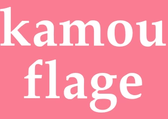 Synonym kamouflage