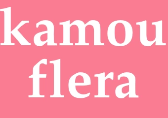 Synonym kamouflera