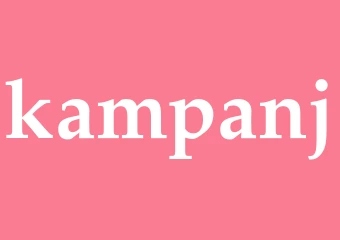 Synonym kampanj