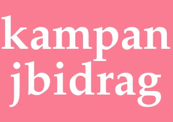 Synonym kampanjbidrag