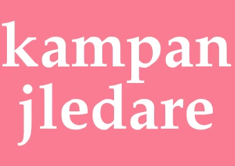 Synonym kampanjledare