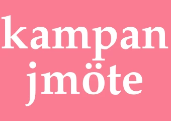 Synonym kampanjmöte