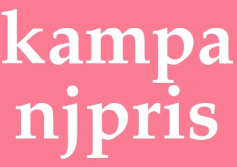 Synonym kampanjpris