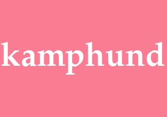 Synonym kamphund