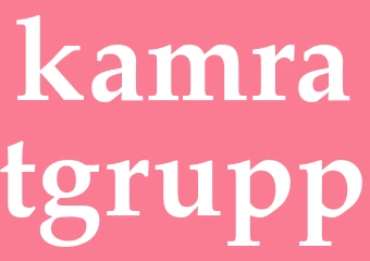 Synonym kamratgrupp