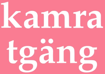 Synonym kamratgäng