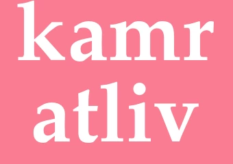 Synonym kamratliv