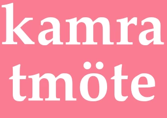Synonym kamratmöte