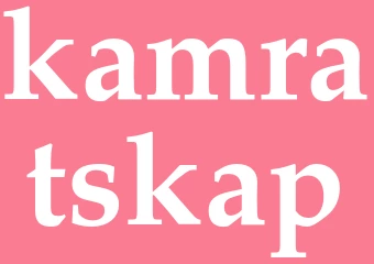 Synonym kamratskap