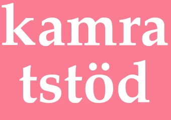 Synonym kamratstöd