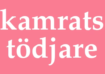 Synonym kamratstödjare