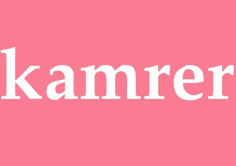 Synonym kamrer