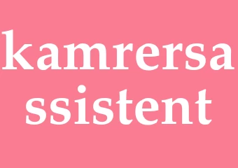 Synonym kamrersassistent