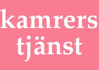 Synonym kamrerstjänst