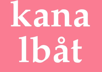 Synonym kanalbåt