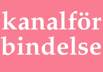 Synonym kanalförbindelse