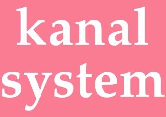 Synonym kanalsystem