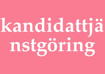 Synonym kandidattjänstgöring