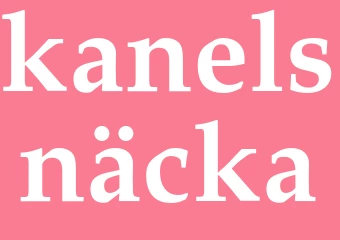 Synonym kanelsnäcka