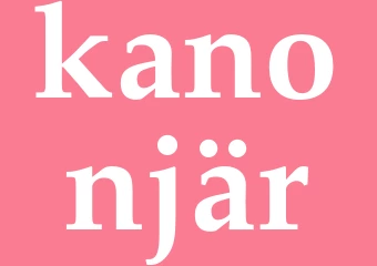 Synonym kanonjär