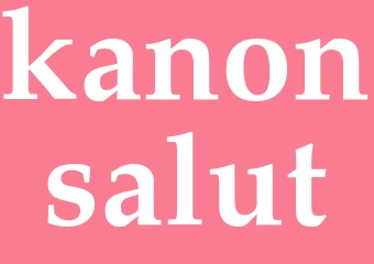 Synonym kanonsalut