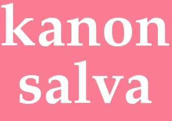 Synonym kanonsalva