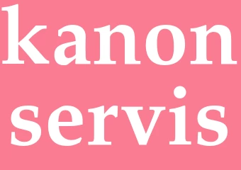 Synonym kanonservis