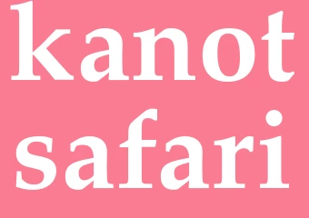 Synonym kanotsafari